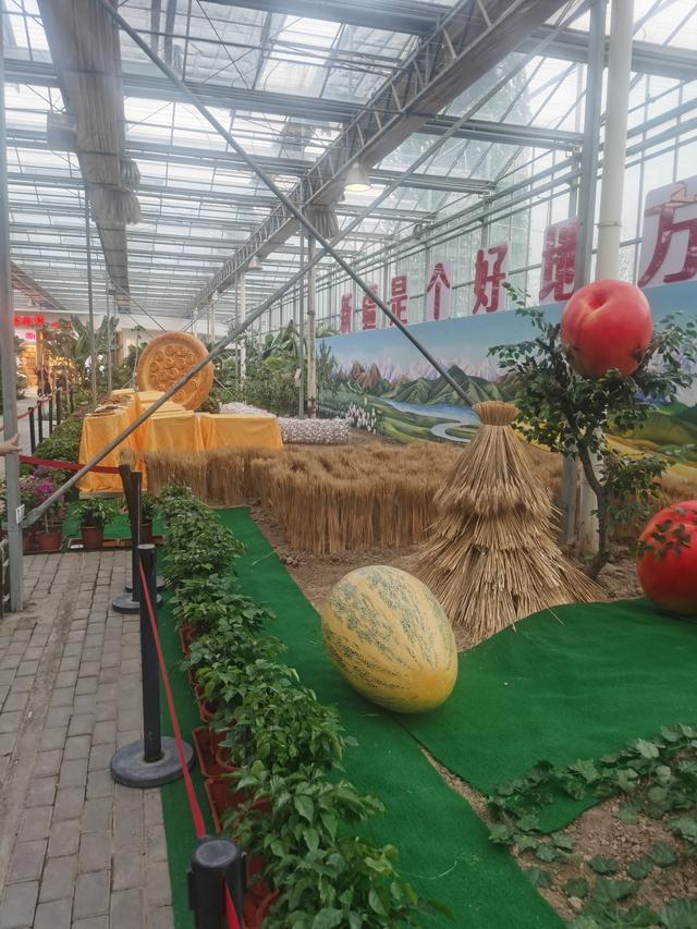 新疆农业博览园智慧农业科技展馆亮相