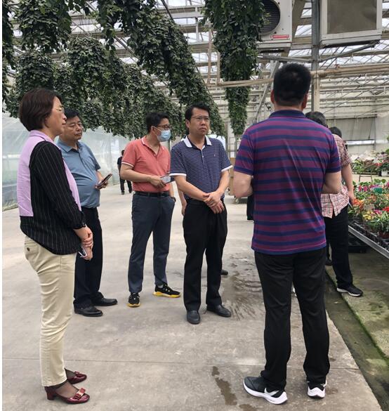 宜昌市农业农村局来荆开展学习交流 共促农业园艺服务高质量发展